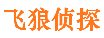 宣武市侦探调查公司